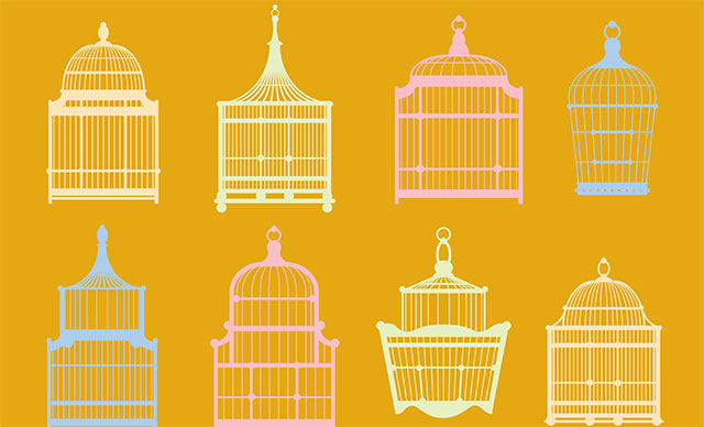 Captive insurance