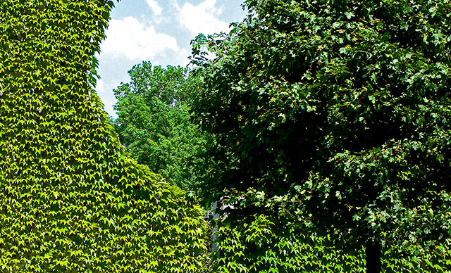 Hedge accounting may be more beneficial after FASB’s changes