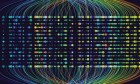 Data governance: How finance builds trust in the numbers