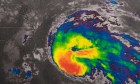 A CPA playbook to help prevent disaster fraud
